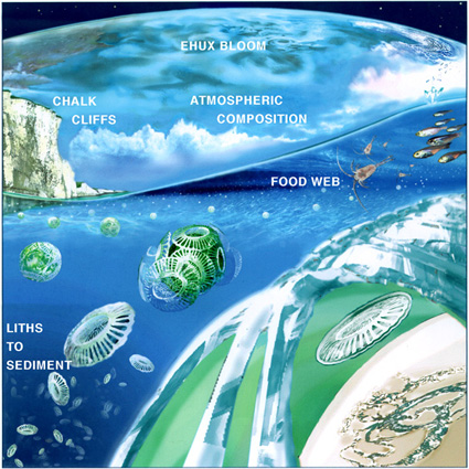 food web ocean. through the food web,