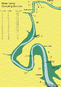 Map of Sampling Locations - Calstock to Tamar Bridge