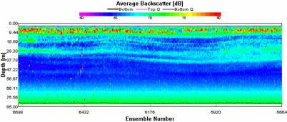 ADCP showing average backscatter