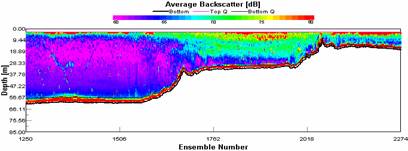 ADCP showing average backscatter