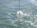 Plankton net being deployed