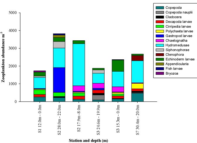 Stacked pie-chart of Phytoplankton Abundance