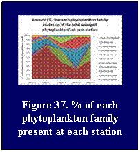 Text Box: Figure 37. % of each phytoplankton family present at each station
