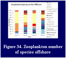Text Box: Figure 34. Zooplankton number of species offshore
 

