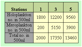 Text Box: Stations
1
3
5
6
Bongo (no. In m-3)
Holoplankton no. in 500ml
1800
12200
9560
4250
16264
Meroplankton no. in 500ml
200
5150
3900
6100
1955
Total no. in 500ml
2000
17350
13460
10350
18219
 

