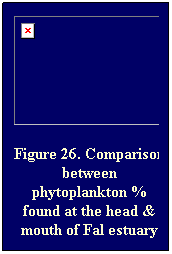 Text Box: Figure 26. Comparison between phytoplankton % found at the head & mouth of Fal estuary
