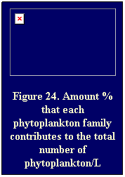 Text Box: Figure 24. Amount % that each phytoplankton family contributes to the total number of phytoplankton/L
