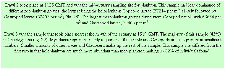 Text Box: Trawl 2 took place at 1125 GMT and was the mid-estuary sampling site for plankton. This sample had less dominance of different zooplankton groups, the largest being the holoplankton Copepod larvae (37214 per m2) closely followed by Gastropod larvae (52405 per m2) (fig. 28). The largest meroplankton groups found were Copepod nauplii with 63634 per m2 and Gastropod larvae, 52405 per m2.
Trawl 3 was the sample that took place nearest the mouth of the estuary at 1519 GMT. The majority of this sample (43%) is Chaetognatha (fig. 29). Mysidacea represent  nearly a quarter of the sample and Copepods are also present in significant numbers. Smaller amounts of other larvae and Cladocera make up the rest of the sample. This sample site differed from the first two in that holoplankton are much more abundant than meroplankton making up 82% of individuals found. 
 
 
