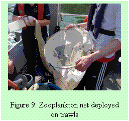 Text Box: Figure 9. Zooplankton net deployed on trawls
