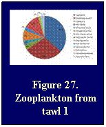 Text Box: Figure 27. Zooplankton from tawl 1

