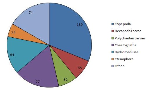 Chart of the dominant zooplankton at CTD station 1