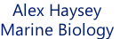 Alex Haysey
Marine Biology
