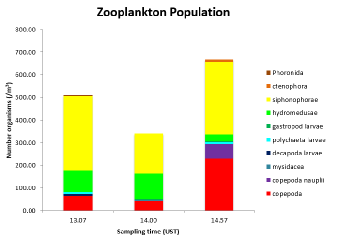 zooplankton.png