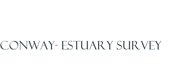 Conway- Estuary survey
