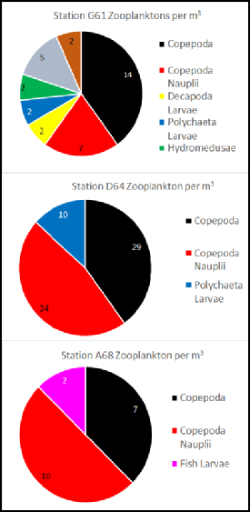 Zooplankton 3 stations.pdf
