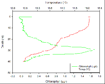 Chlrophyll Temp Profile Station 2.PNG