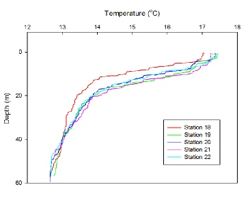 Temperature depth profile.JPG
