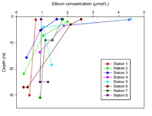Silicon depth profile Conway FINAL.JPG