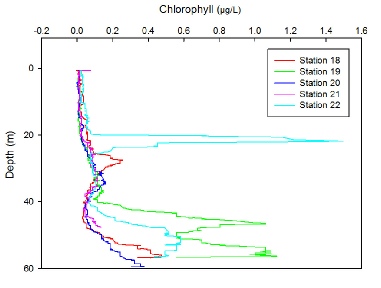 Chlorophyll depth profile.JPG