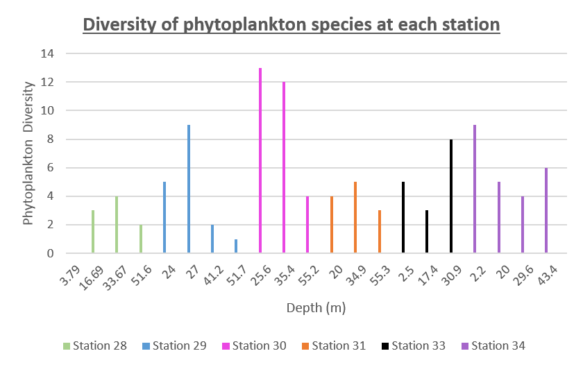 Phyto DIVERSITY offshore stations 28-34