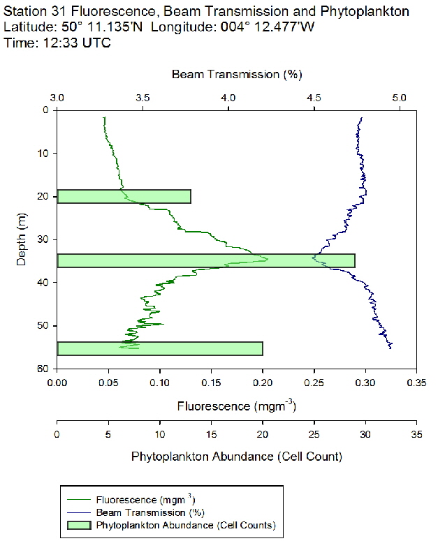 Figure 48: Fluorescence, beam transmission and phytoplankton count for station 31