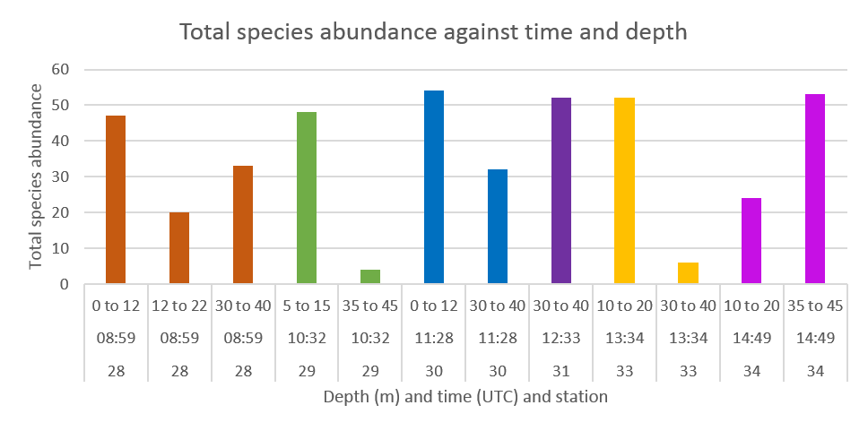 Zoo abundance against time and depth stations 28-34